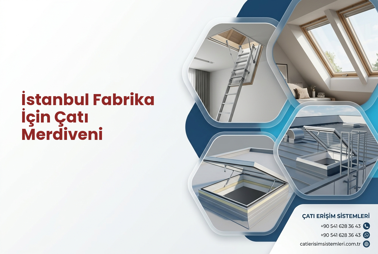 İstanbul Fabrika İçin Çatı Merdiveni
