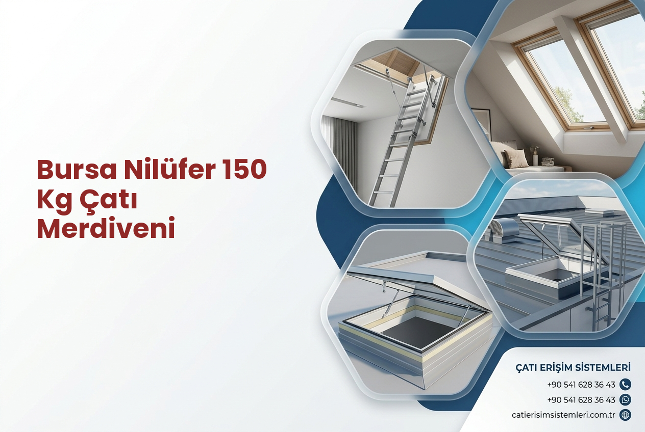 Bursa Nilüfer 150 Kg Çatı Merdiveni