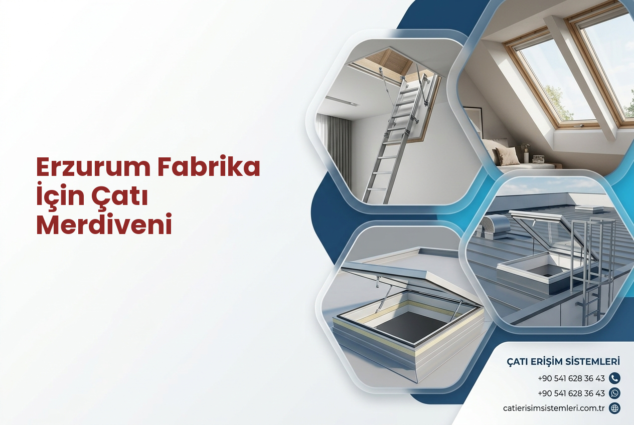 Erzurum Fabrika İçin Çatı Merdiveni
