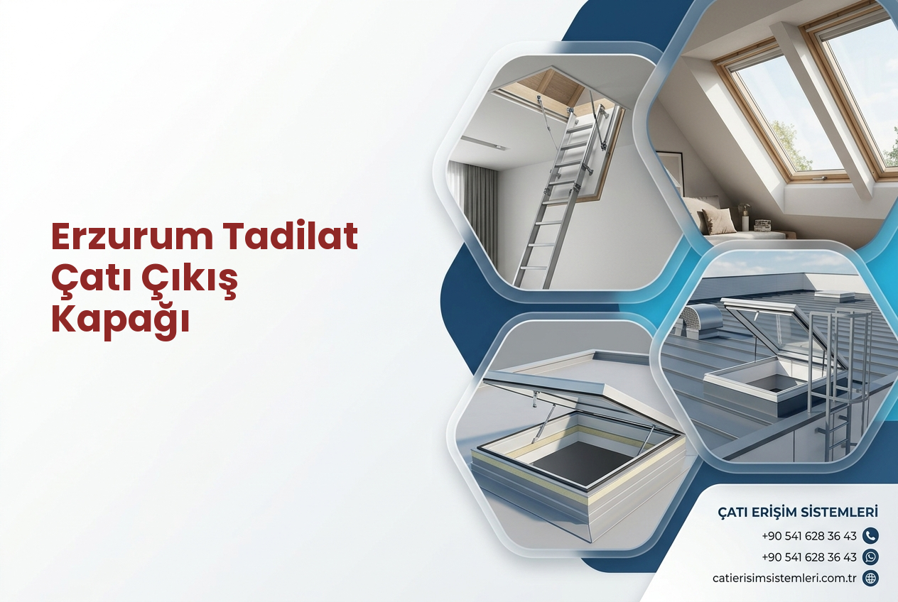Erzurum Tadilat Çatı Çıkış Kapağı