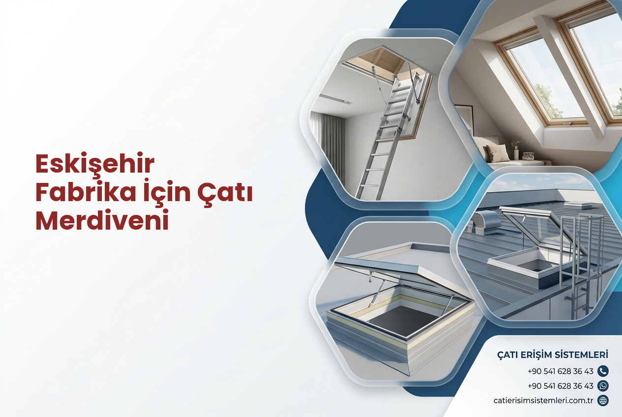 Eskişehir Fabrika İçin Çatı Merdiveni