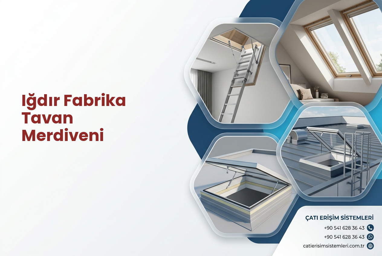 Iğdır Fabrika Tavan Merdiveni