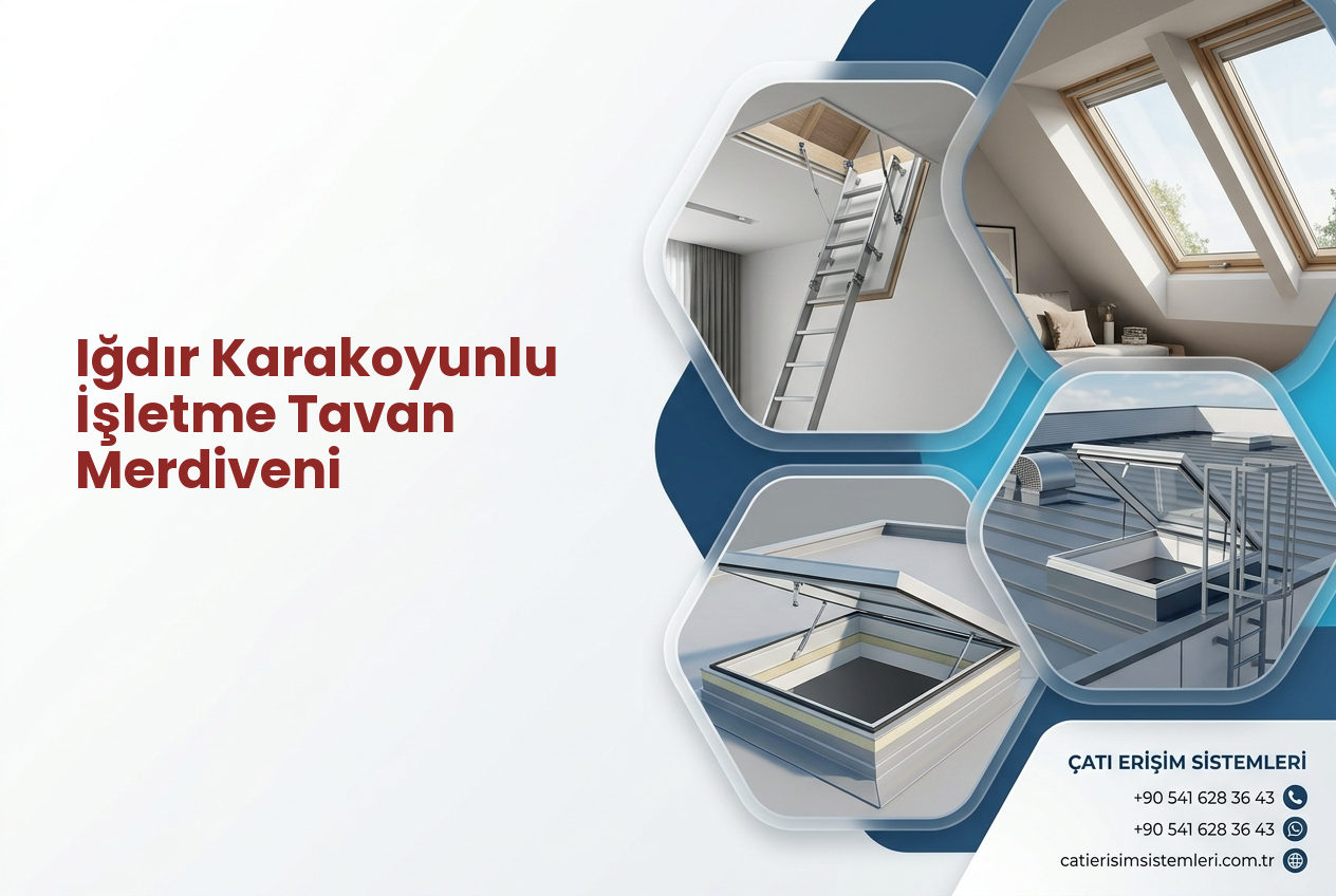 Iğdır Karakoyunlu İşletme Tavan Merdiveni